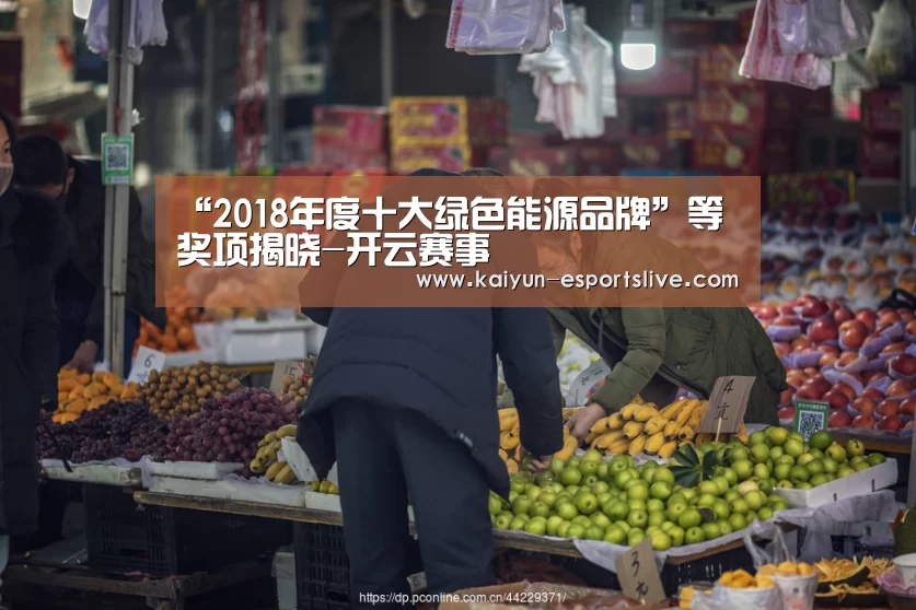 “2018年度十大绿色能源品牌”等奖项揭晓-开云赛事(图4) 开云篮球