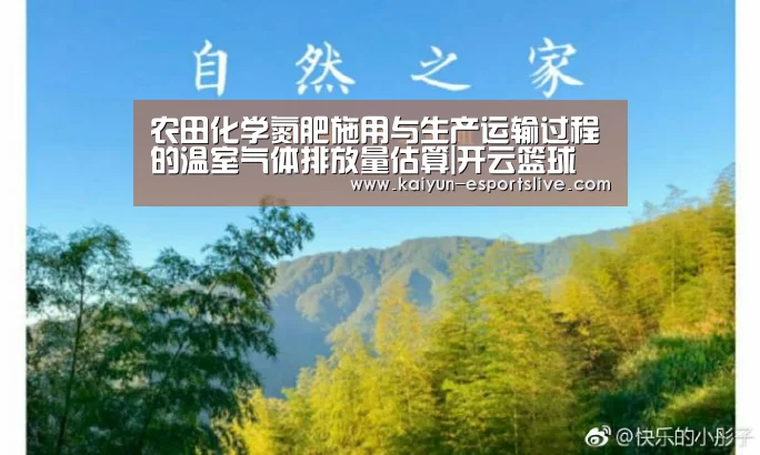 开云赛事