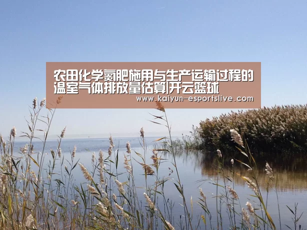 开云足球