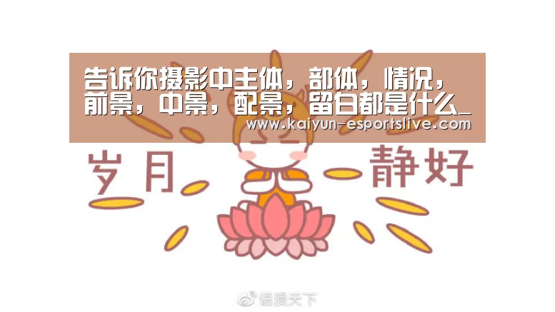 开云体育