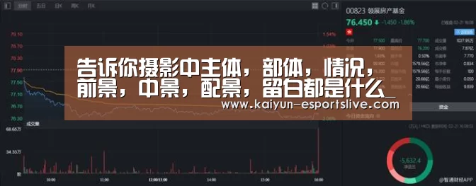 开云篮球