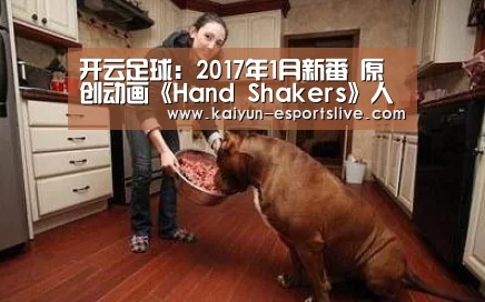 开云足球