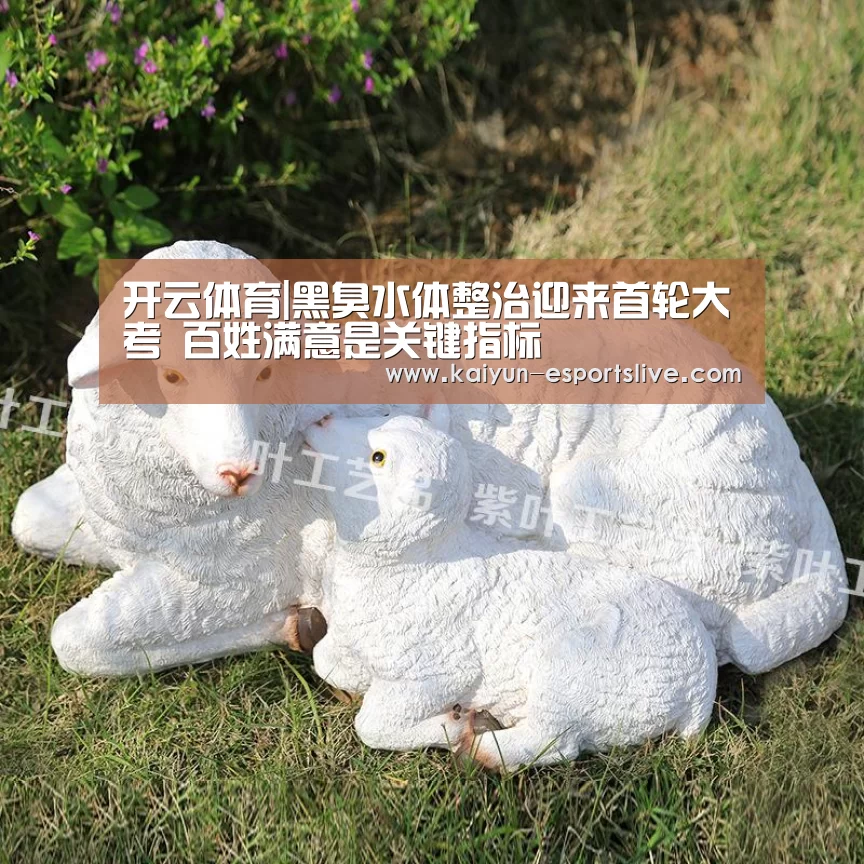 开云体育|黑臭水体整治迎来首轮大考 百姓满意是关键指标(图2) 开云赛事
