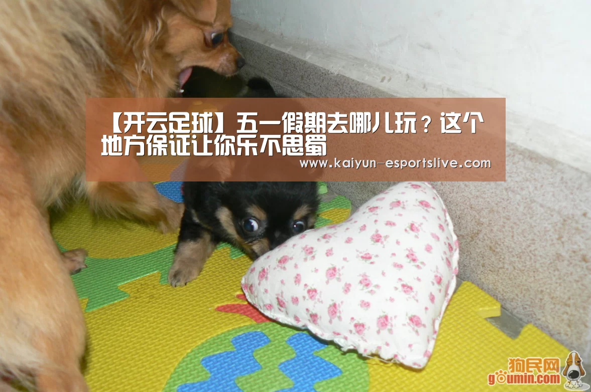 【开云足球】五一假期去哪儿玩?这个地方保证让你乐不思蜀(图2) 开云赛事