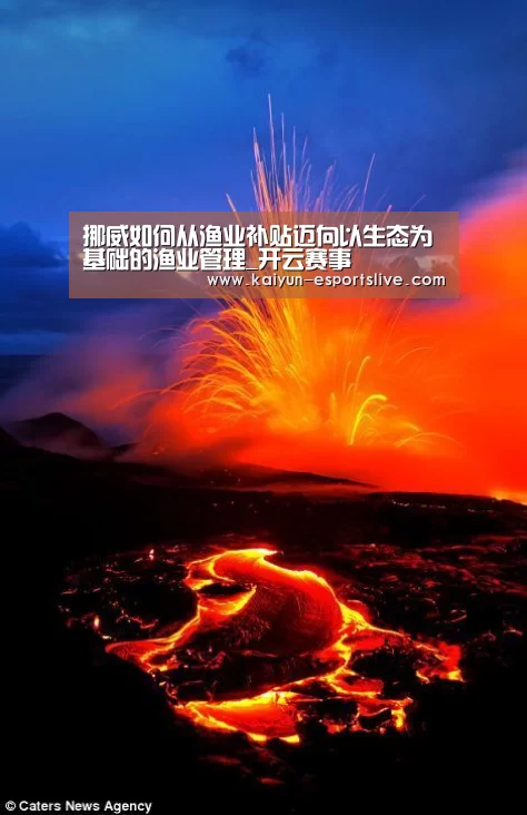 挪威如何从渔业补贴迈向以生态为基础的渔业管理_开云赛事(图3) 开云篮球
