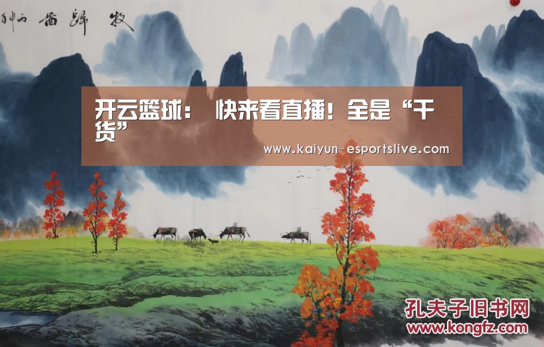 开云赛事